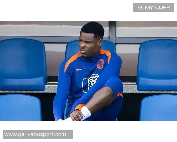 邓弗里斯脚踝持续疼痛或将缺席明年赛季复出计划不明